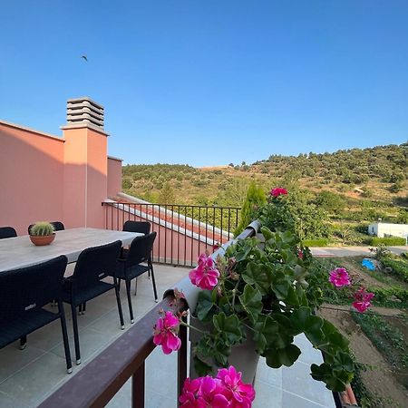Apartamentos La Flor San Martín de Moncayo Eksteriør bilde