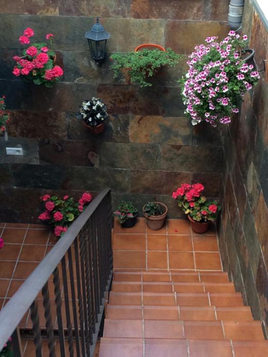 Apartamentos La Flor San Martín de Moncayo Eksteriør bilde