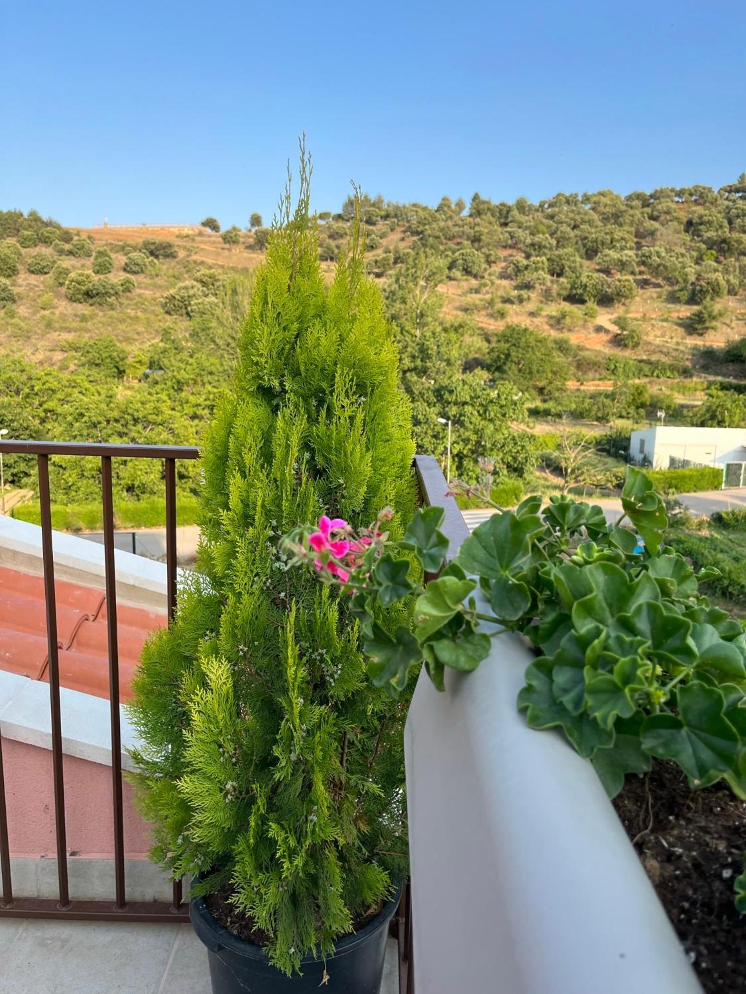 Apartamentos La Flor San Martín de Moncayo Eksteriør bilde